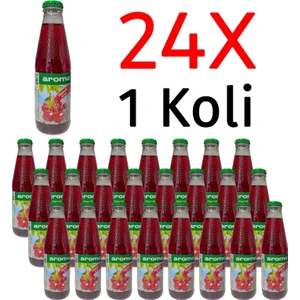 Vişneli Cam Meyve Suyu 200MLX24 Adet