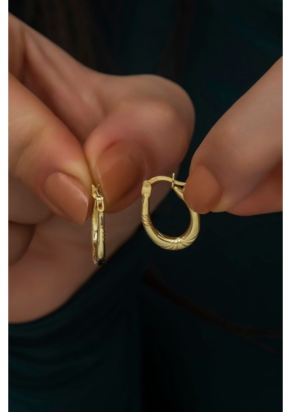 Vog Kadın 925 Ayar Gümüş Gold Çizgili Şarnel Renk Küpe