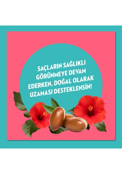 Doğanın Enerjisi Saç Bakım Şampuanı Argan Yağı & Hibiskus Özü & 400 ml X3