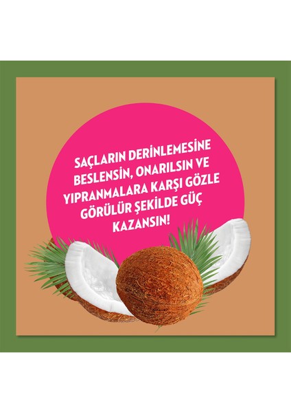 Doğanın Enerjisi Saç Bakım Şampuanı Hindistan Cevizi Yağı Onarıcı & Yıpranma Karşıtı 400 ml X3