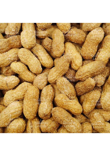 Kabuklu Yer Fıstığı Kavrulmuş Tuzlu 1 kg