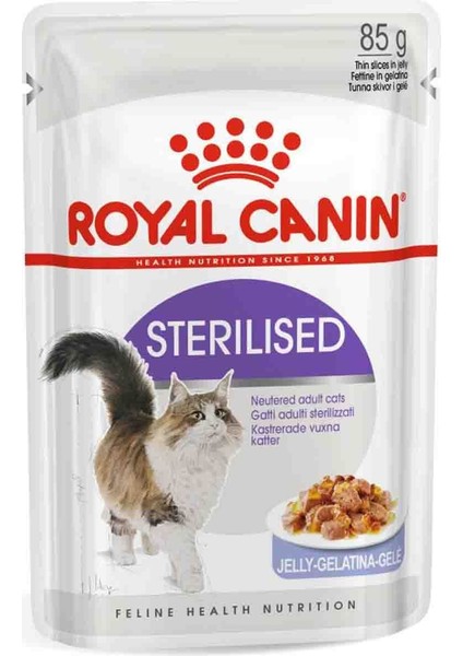 Sterilised In Jelly Kisirlaştirilmiş Kediler Için Konserve 85 gr