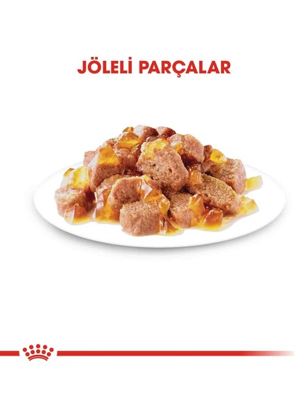 Sterilised In Jelly Kisirlaştirilmiş Kediler Için Konserve 85 gr