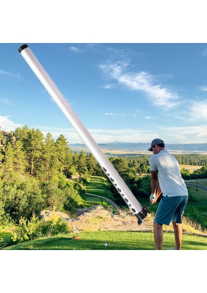 Golf Seçici Tüp Metal Golf Alıcııcı 2 5CMX102CM (Yurt Dışından) indirimleri