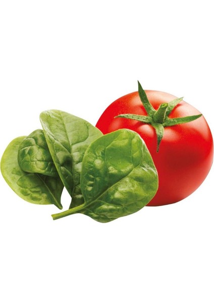 Sebzeli Burgu Makarna 350 gr x 4 Adet