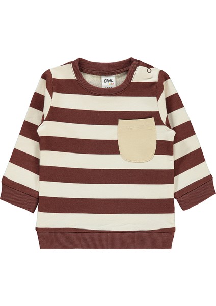 Erkek Bebek Sweatshirt 6-18 Ay Çikolata Kahve