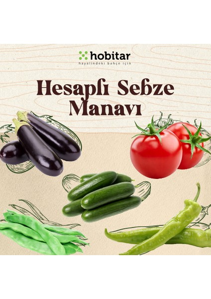 Hobitar Hesaplı Sebze Manavı Tohum Paketi - 6 Çeşit Sebze Tohumu