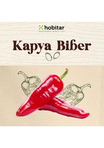 Hobitar Kapya Biber Tohumu