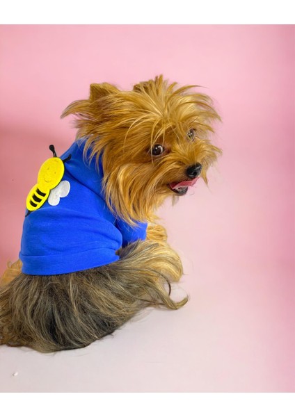 Navy Bee Oval Yaka Tişört Köpek Kıyafeti Köpek Elbisesi