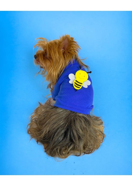 Navy Bee Oval Yaka Tişört Köpek Kıyafeti Köpek Elbisesi fiyatları