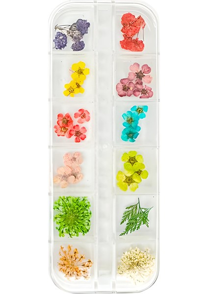 Tırnak Süsleme Kurutulmuş Gerçek Çiçek Nail Art Süsleme 3d Çiçek Model