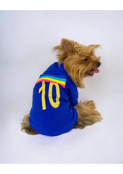 Uno Blue Köpek Tişörtü