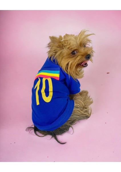 Uno Blue Köpek Tişörtü fiyatları