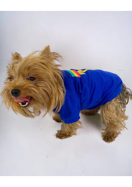 Uno Blue Köpek Tişörtü modelleri