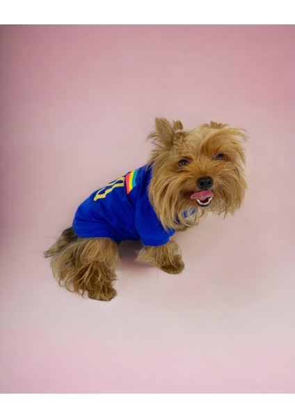 Uno Blue Köpek Tişörtü fırsatları