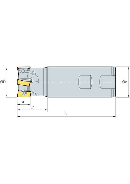 Saplı Tarama Freze Kafası D016-2, 16X90 mm Takım Ölçüsü, (2 Adet Apkt 0903 Kesici Uç Kullanır) - 1 Adet