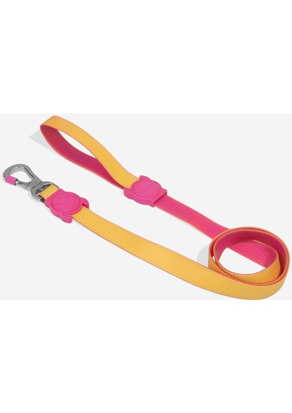 Neopro Lyra Gezdirme Tasması - Zee.dog