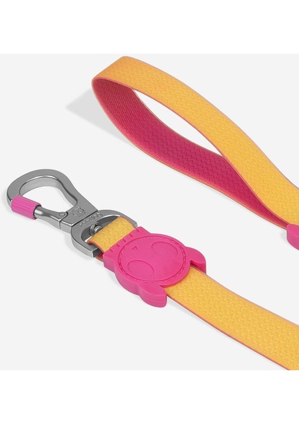 Neopro Lyra Gezdirme Tasması - Zee.dog