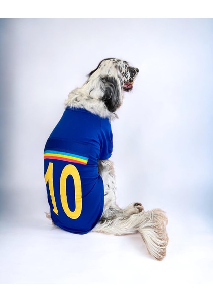 Uno Blue Büyük Irk Köpekler Için Tişört