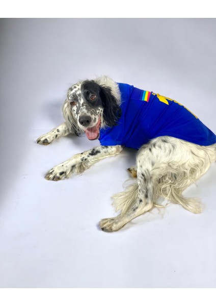 Uno Blue Büyük Irk Köpekler Için Tişört fiyatları