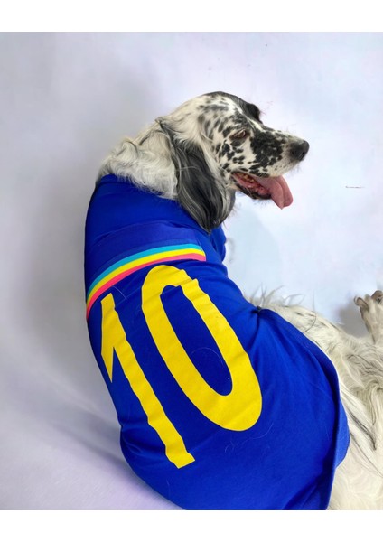 Uno Blue Büyük Irk Köpekler Için Tişört modelleri
