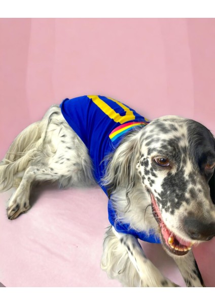 Uno Blue Büyük Irk Köpekler Için Tişört fırsatları