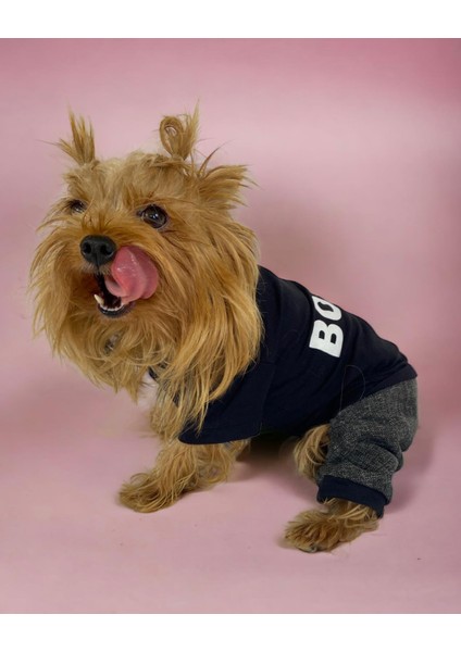 Chique Boss Tulum Köpek Kıyafeti