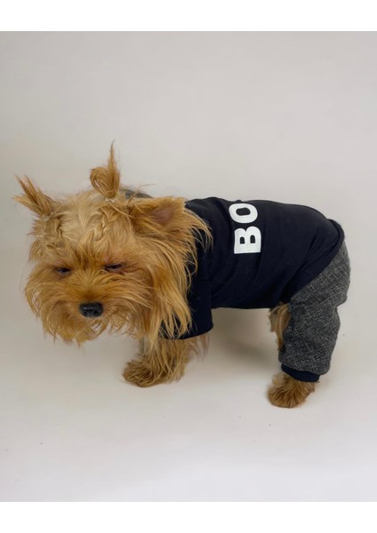 Chique Boss Tulum Köpek Kıyafeti modelleri
