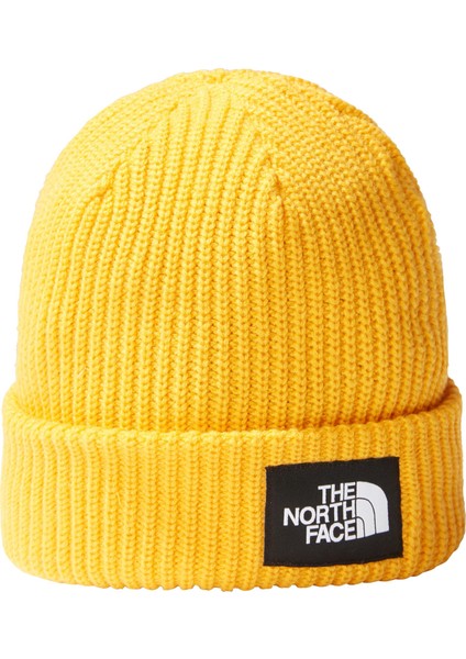 Salty Lined Beanie Bere
