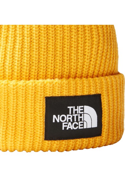 Salty Lined Beanie Bere