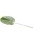 Palmiye Ağacı Yaprağı 60 cm Yeşil A10269-10 2