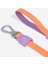 Neopro Iris Gezdirme Tasması - Zee.dog 3