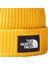 Salty Lined Beanie Bere 2