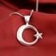 Seçili Renk Gümüş