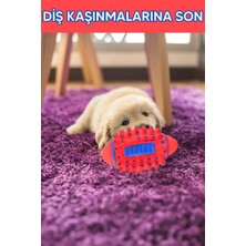 MUJGAN Kedi Köpek Dikenli Isırma Topu