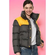 Dewberry Z6649 Dewberry Bayan Mont-Sarı-Antrasit