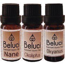 Beluci Nane + Okaliptus + Okyanus Uçucu Buhurdanlık Yağı Oda Kokusu Aromaterapi Set (3 Ad*10 Ml)