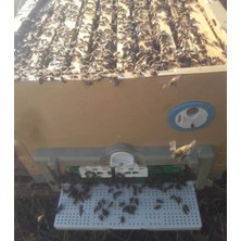 Sedef Beekeeping Plastik Termo Kovan 2 Katlı 10 Çerçevelik 04012