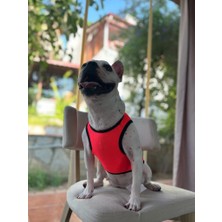 Bambo Pet Store Neon Pembe File Kedi Köpek Tişörtü