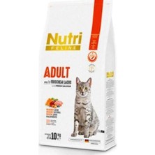 Nutri Feline Taze Somonlu Yetişkin Tahılsız Kedi Maması 10 kg