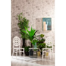 ModaLife 4 Adet Venüs Sandalye Beyaz - Mutfak / Balkon / Bahçe Sandalyesi