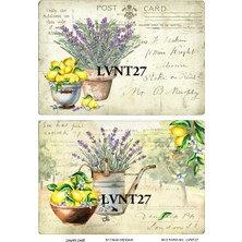 Lineart Pirinç Dekopaj Kağıdı LA-LVNT27