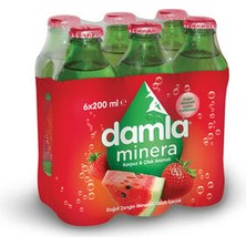 Damla Minera Çilek Karpuz Aromalı Gazlı Içecek 6X200 ml  (  5  Adet  )