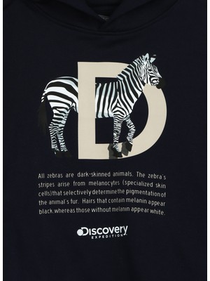 Discovery Expedition Lacivert Erkek Çocuk Kapüşonlu Sweatshirt D3WB-SWT26