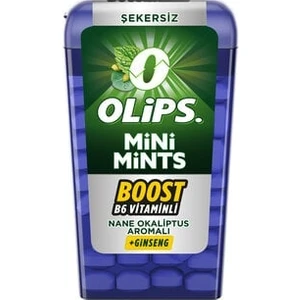 Mini Mints Nane Ginseng 12.5 gr  x 12