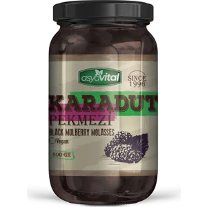 Asya Vital ASYAVİTAL800 gr Karadut Pekmezi