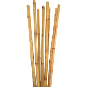 Doğa Fidancılık 30 Adet Bambu Bitki Fidan Destek Çubuğu 190 - 200 Cm
