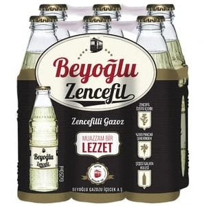 Zencefilli Doğal Zengin Mineralli Gazlı Içecek 6X250ML  (  1  Adet  )