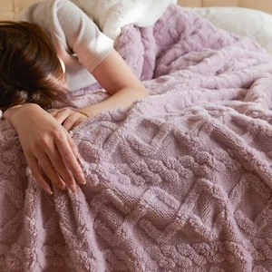 Battaniye Kış Kalınlaşmış Sıcak Battaniye Şekerleme Battaniye Taff Pazen Battaniye Düz Renk Kapağı Battaniye (Yurt Dışından)