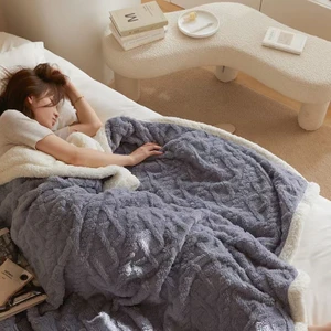 Battaniye Kış Kalınlaşmış Sıcak Battaniye Şekerleme Battaniye Taff Pazen Battaniye Düz Renk Kapağı Battaniye (Yurt Dışından)